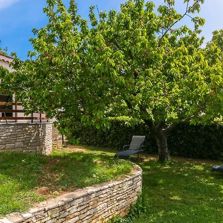 Apartament Elvira - Ulika - Mpolo *
